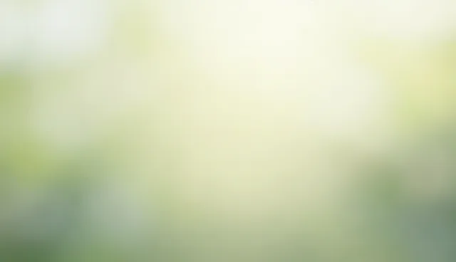 性能差异问题处理方向,提升技术服务效率
