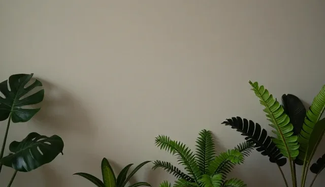 维护策略：业务发展趋势中的关键应对方向